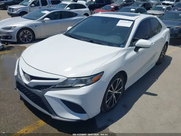 4T1B11HK7KU725233 2019 TOYOTA CAMRY - Image 2