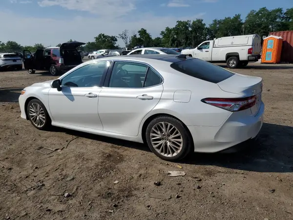 4T1B11HK7KU731131 2019 TOYOTA CAMRY - Image 2