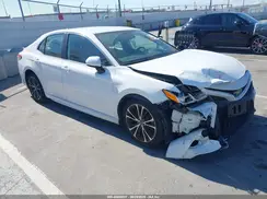 4T1B11HK7KU731615 2019 TOYOTA CAMRY