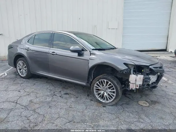 4T1B11HK7KU731873 2019 TOYOTA CAMRY - Image 1