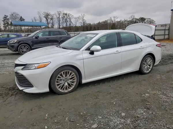 4T1B11HK7KU731937 2019 TOYOTA CAMRY - Image 1