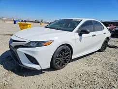 4T1B11HK7KU734756 2019 TOYOTA CAMRY