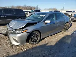 4T1B11HK7KU735373 2019 TOYOTA CAMRY