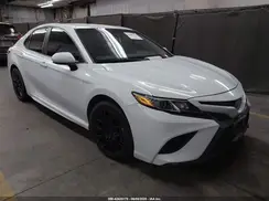 4T1B11HK7KU736457 2019 TOYOTA CAMRY
