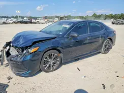 4T1B11HK7KU738435 2019 TOYOTA CAMRY