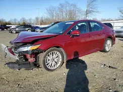 4T1B11HK7KU741836 2019 TOYOTA CAMRY