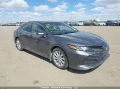 4T1B11HK7KU759768 2019 TOYOTA CAMRY