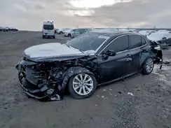 4T1B11HK7KU765151 2019 TOYOTA CAMRY