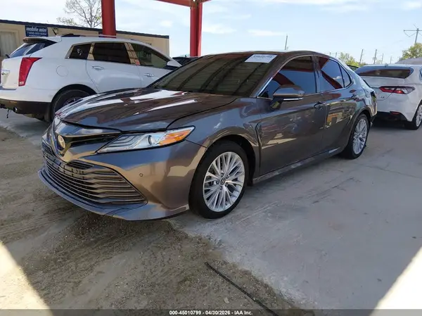 4T1B11HK7KU771046 2019 TOYOTA CAMRY - Image 2