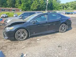 4T1B11HK7KU772083 2019 TOYOTA CAMRY