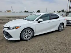 4T1B11HK7KU772231 2019 TOYOTA CAMRY