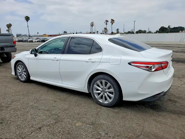 4T1B11HK7KU772231 2019 TOYOTA CAMRY - Image 2