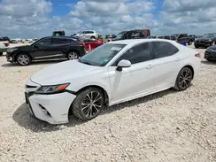 4T1B11HK7KU774304 2019 TOYOTA CAMRY