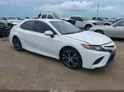4T1B11HK7KU774819 2019 TOYOTA CAMRY