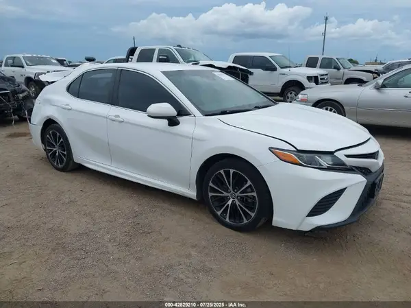 4T1B11HK7KU774819 2019 TOYOTA CAMRY - Image 1