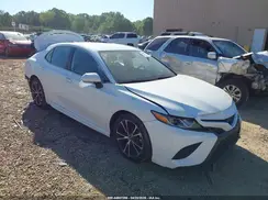 4T1B11HK7KU774996 2019 TOYOTA CAMRY