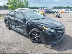 4T1B11HK7KU777977 2019 TOYOTA CAMRY