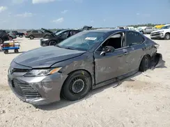 4T1B11HK7KU779647 2019 TOYOTA CAMRY