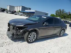 4T1B11HK7KU780099 2019 TOYOTA CAMRY