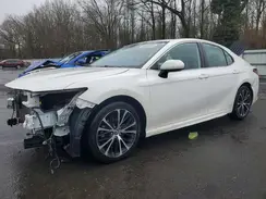 4T1B11HK7KU785755 2019 TOYOTA CAMRY