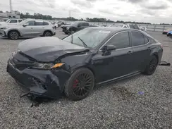4T1B11HK7KU786078 2019 TOYOTA CAMRY