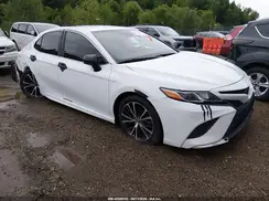 4T1B11HK7KU788008 2019 TOYOTA CAMRY