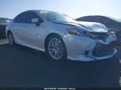 4T1B11HK7KU789014 2019 TOYOTA CAMRY