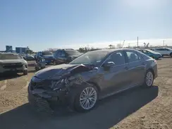 4T1B11HK7KU793970 2019 TOYOTA CAMRY