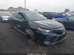 4T1B11HK7KU795900 2019 TOYOTA CAMRY