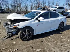 4T1B11HK7KU797243 2019 TOYOTA CAMRY