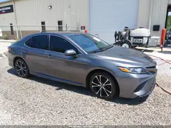 4T1B11HK7KU798876 2019 TOYOTA CAMRY