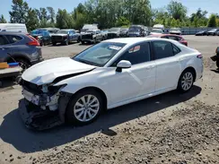 4T1B11HK7KU800917 2019 TOYOTA CAMRY