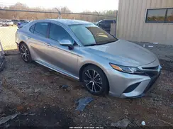 4T1B11HK7KU802229 2019 TOYOTA CAMRY