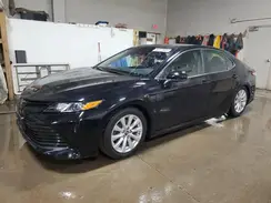 4T1B11HK7KU804756 2019 TOYOTA CAMRY