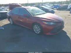 4T1B11HK7KU805373 2019 TOYOTA CAMRY