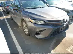 4T1B11HK7KU805566 2019 TOYOTA CAMRY