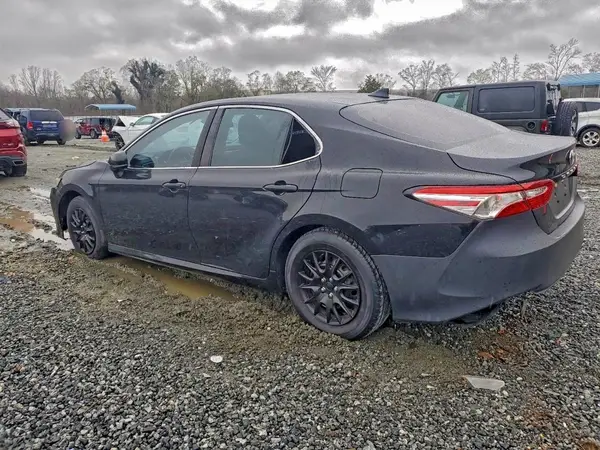 4T1B11HK7KU806619 2019 TOYOTA CAMRY - Image 2