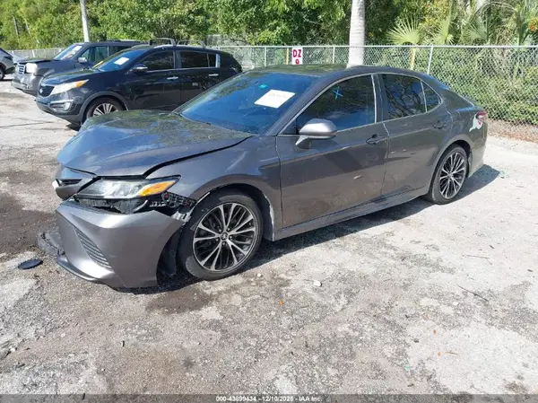 4T1B11HK7KU808807 2019 TOYOTA CAMRY - Image 2