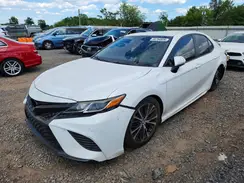 4T1B11HK7KU810329 2019 TOYOTA CAMRY