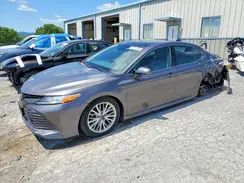 4T1B11HK7KU810511 2019 TOYOTA CAMRY