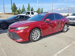 4T1B11HK7KU810895 2019 TOYOTA CAMRY