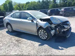 4T1B11HK7KU813392 2019 TOYOTA CAMRY