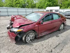 4T1B11HK7KU813408 2019 TOYOTA CAMRY