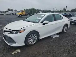4T1B11HK7KU815577 2019 TOYOTA CAMRY