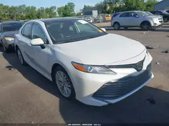 4T1B11HK7KU817717 2019 TOYOTA CAMRY