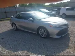 4T1B11HK7KU825591 2019 TOYOTA CAMRY