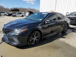 4T1B11HK7KU832329 2019 TOYOTA CAMRY