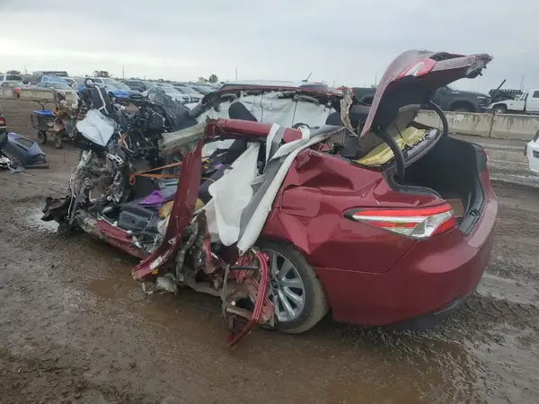 4T1B11HK7KU836624 2019 TOYOTA CAMRY - Image 2
