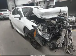 4T1B11HK7KU838230 2019 TOYOTA CAMRY