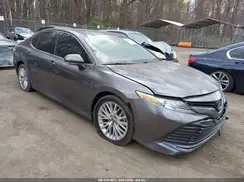 4T1B11HK7KU840270 2019 TOYOTA CAMRY
